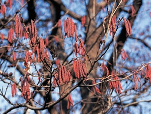 image15