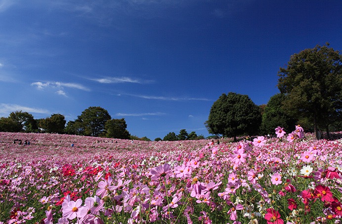 image07