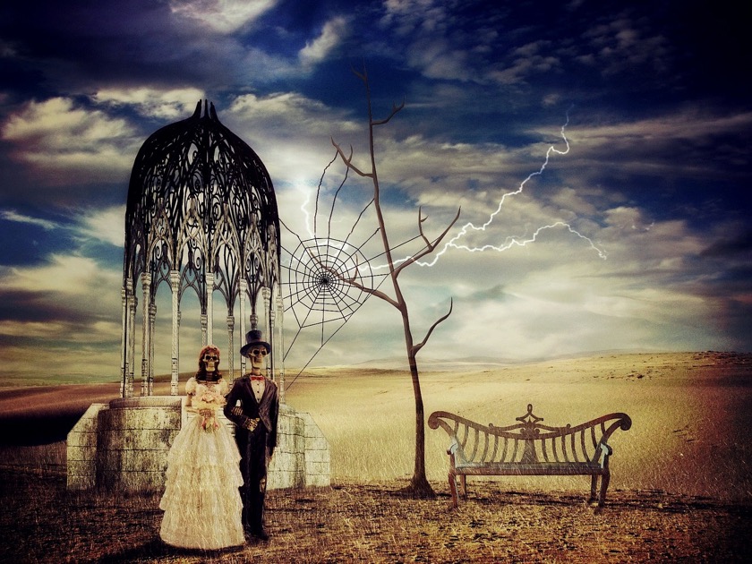 bride-and-groom-2698249_1280