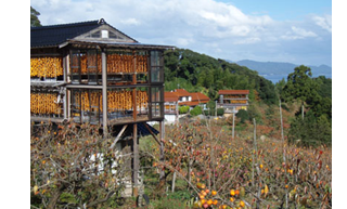 image10