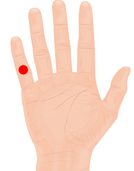 image17