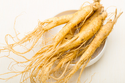 Fresh Ginseng stick