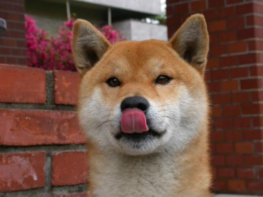 image05