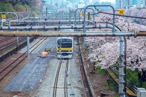 桜の下を走る総武線