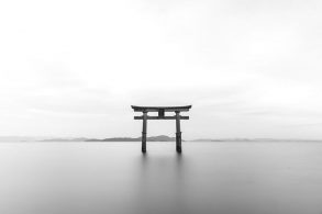 モノクロの鳥居