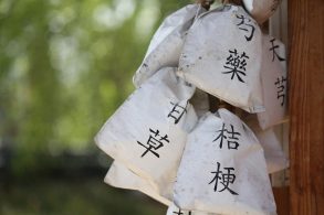 漢方用の薬草