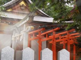 厄払いのできる神社
