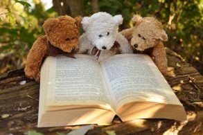 読書する3体のテディベア