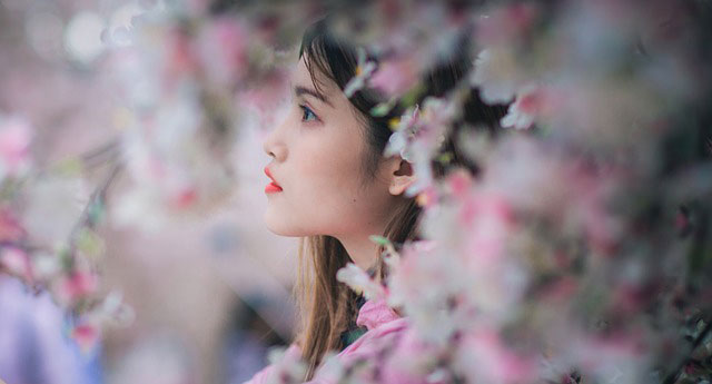 桜と少女