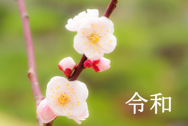梅の花と令和