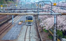 桜の下を走る総武線